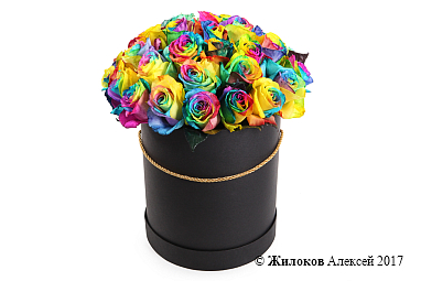 ����� 35 �������� ��� � ������� �������