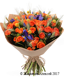 ����� �������� �����