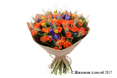 ����� �������� �����