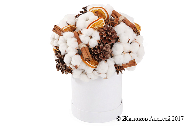 ����� �������� ���� � ������� �������