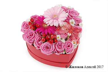 ����� ������� ������ � ������� ������� ������