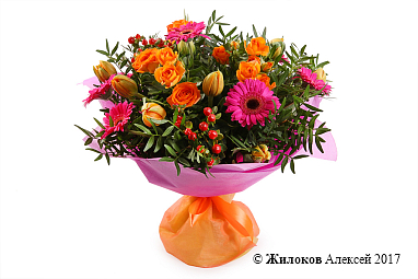 ����� ������ ������