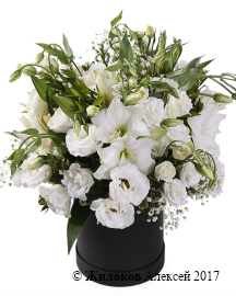 ����� � �������� ����� ���� � ������� �������