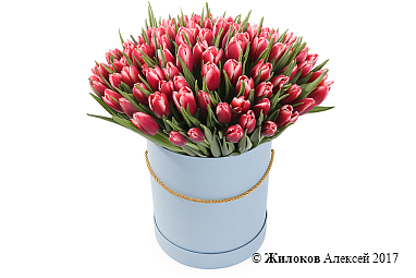 ����� 101 ����������� ������� � ������� ������� �������, ����