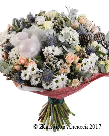 ����� ������� ��������