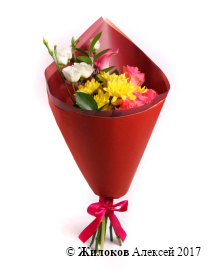 ����� ����� ���������