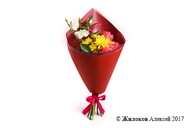 ����� ����� ���������