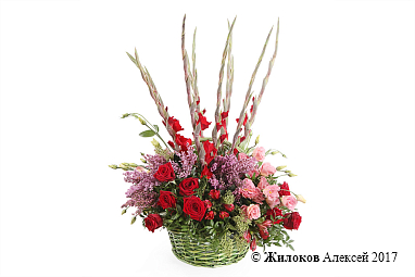 ����� �������� ����