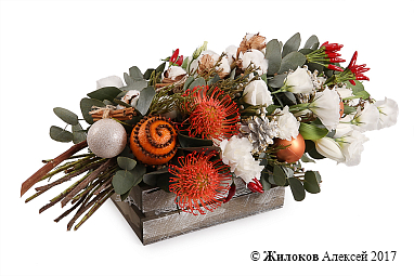 ����� ��������� ���� � ������