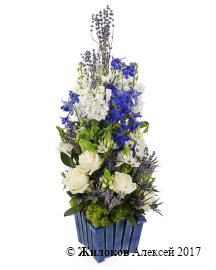 ���������� ��������� ��������