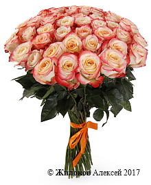 ����� 51 ���� ������