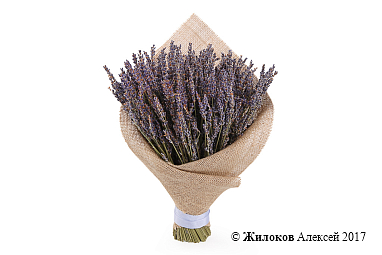 ����� �� ������� ������ �������� � ��������� � ������