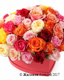 ����� ��� ����� ������ � ������� ������� ������