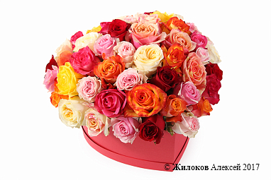 ����� ��� ����� ������ � ������� ������� ������