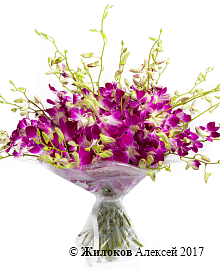 ����� 30 �������