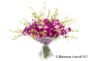 ����� 30 �������