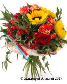 ����� �����-������