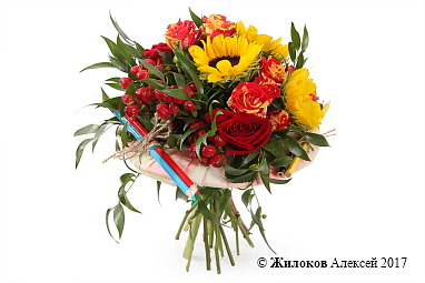 ����� �����-������