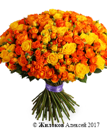 ����� ����� �����, 101 ���� ����