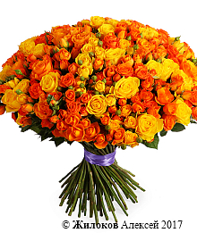 ����� ����� �����, 101 ���� ����