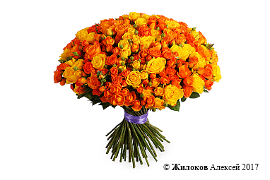 ����� ����� �����, 101 ���� ����