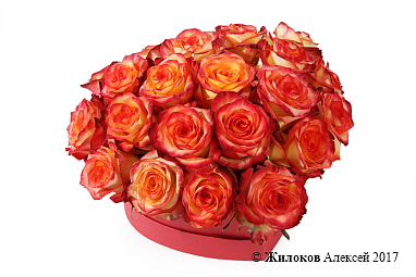 ����� ��������� ������ � ������� ������� ������ (�����)