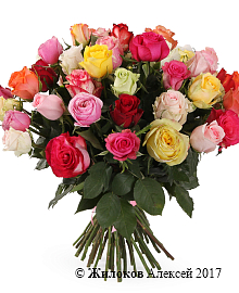 ����� ����������� ������� (35 ���)