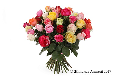 ����� ����������� ������� (35 ���)