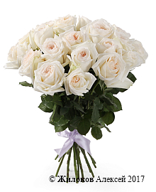 ����� 21 ���� ���� �'����