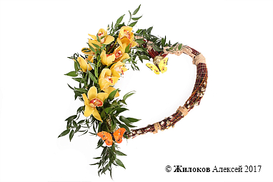 ����� ������������� ������