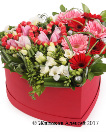 ����� ������� ������ � ������� ������� ������