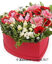 ����� ������� ������ � ������� ������� ������