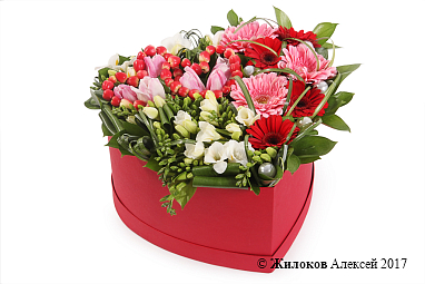 ����� ������� ������ � ������� ������� ������