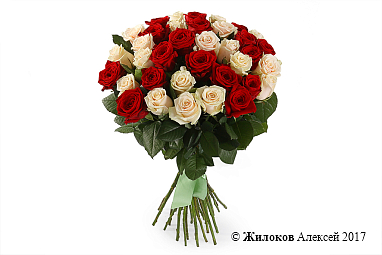 ����� 35 ��� ����