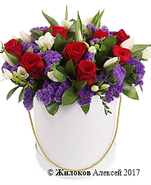 ����� ���� ���������� � ������� �������