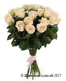 ����� 21 ���� �����