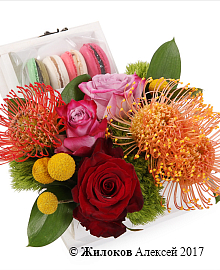 ���������� ������������ ������ � �����