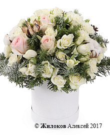 ����� ������� ������ � ������� �������