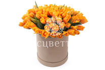 ����� 101 ������� � ������� �������, �����