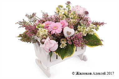 ����� ������� ��� � �����