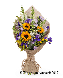 ����� ������ �����