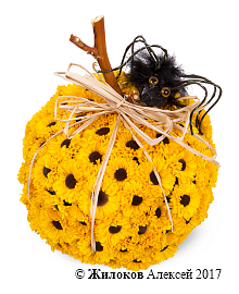 ���������� ��������� �����