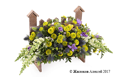 ���������� ����� ��� ����� � �����