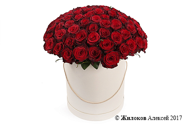 ����� �� 101 ������� ���� ��� ����� � ������� �������