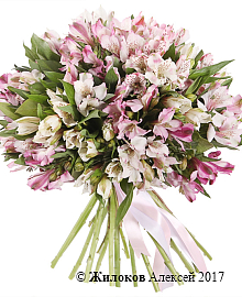 ����� �� ������������ ������� ������