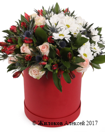 ����� ������ ������ � ������� �������