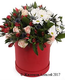 ����� ������ ������ � ������� �������