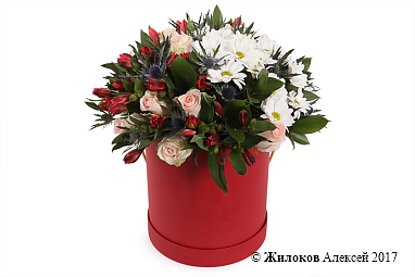 ����� ������ ������ � ������� �������