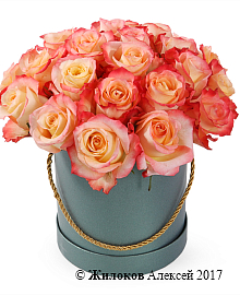 ����� 25 ��� ������ � ������� �������