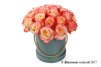 ����� 25 ��� ������ � ������� �������